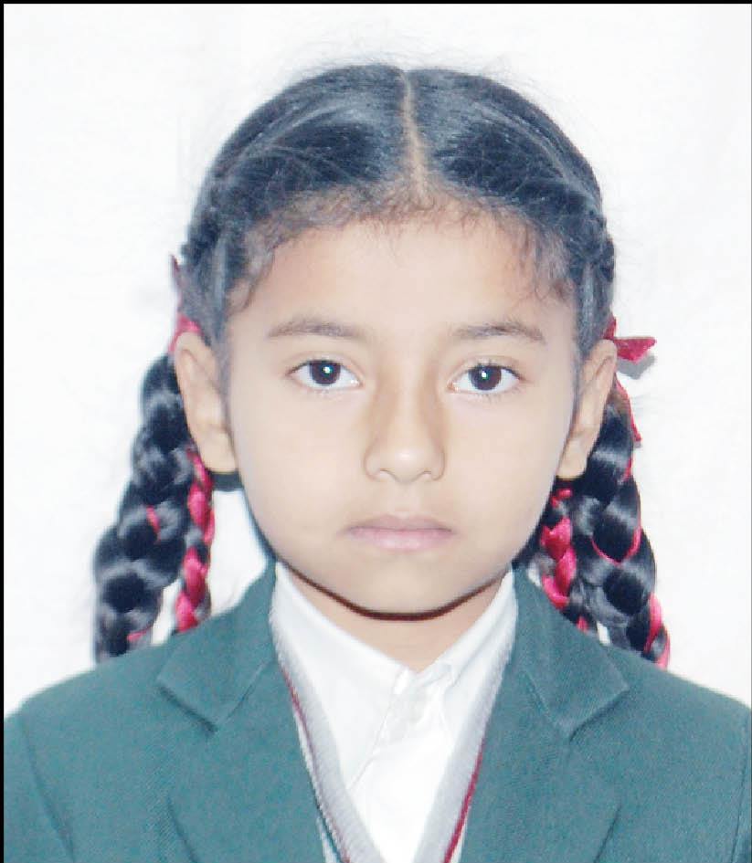 St. Teresa School Indirapuram